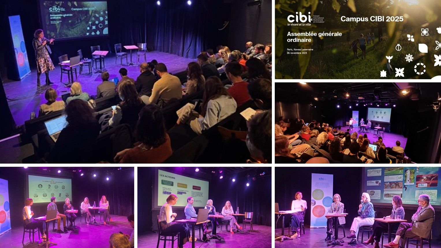 CIBI (IBPC) | Retour sur le Campus du CIBI – Conseil International ...